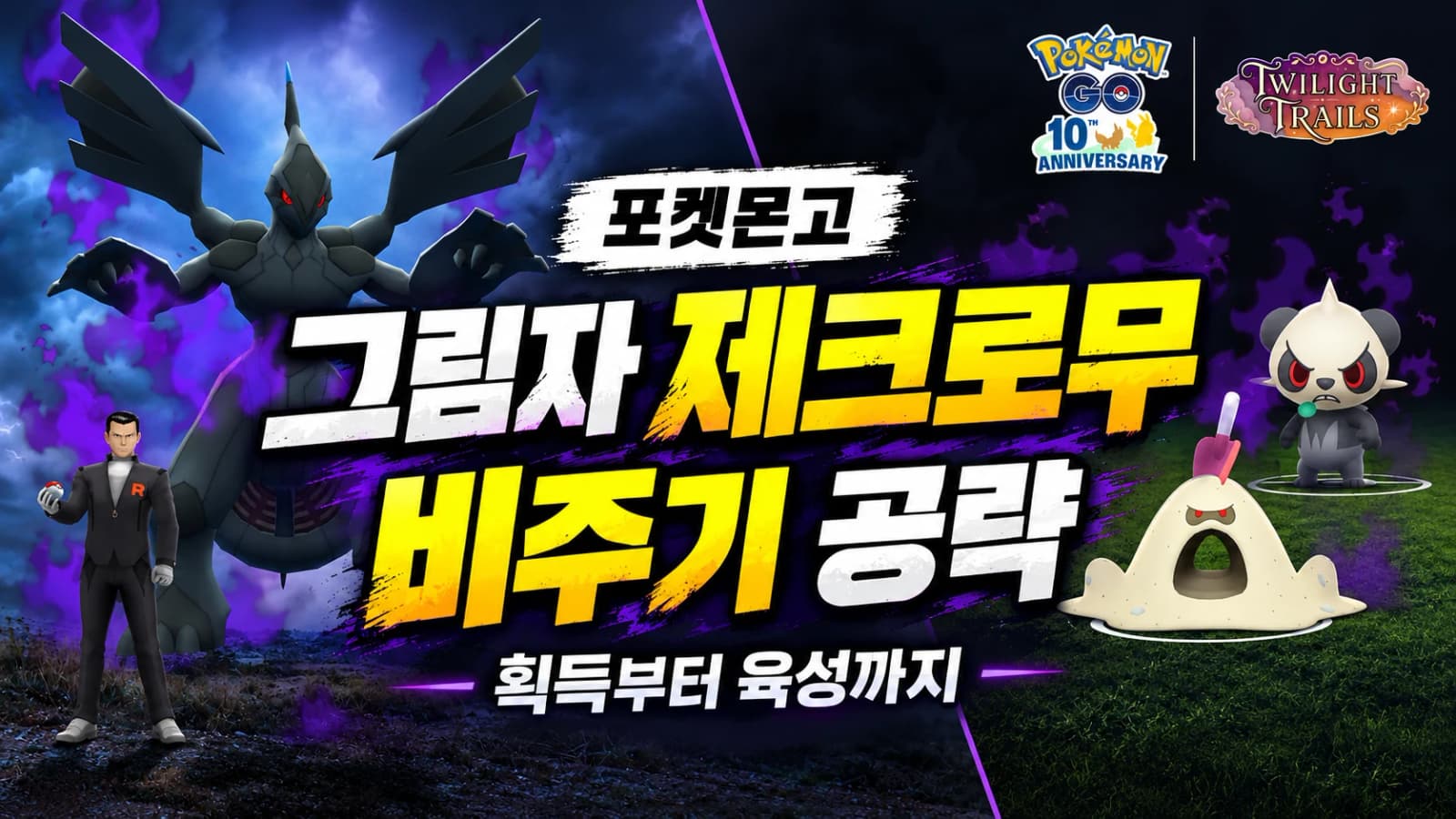 포켓몬고 그림자 제크로무 공략 비주기 잡는 법과 화풀이 제거